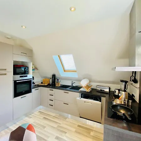 L'envolee Alsacienne - Magnifique En Duplex Ostheim