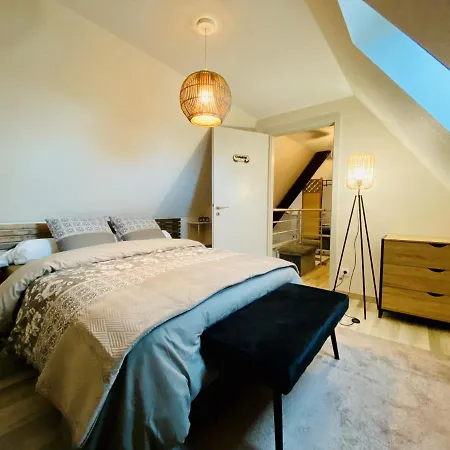 Apartment L'envolee Alsacienne - Magnifique En Duplex