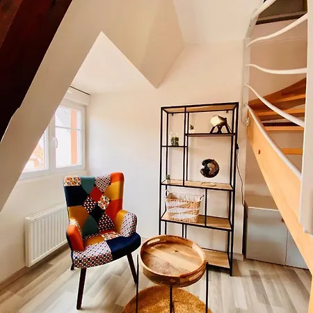 L'envolee Alsacienne - Magnifique En Duplex * Ostheim