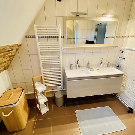L'envolee Alsacienne - Magnifique En Duplex * Ostheim
