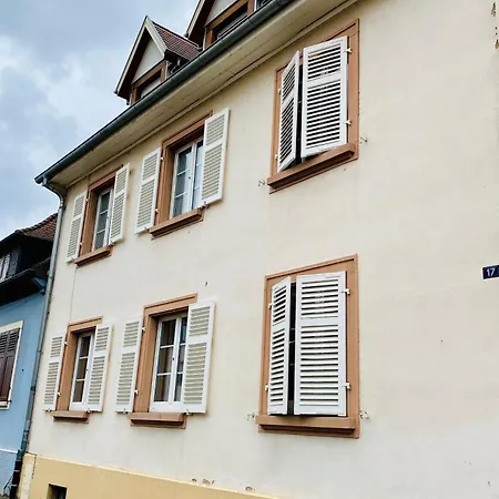 L'envolee Alsacienne - Magnifique En Duplex * Ostheim